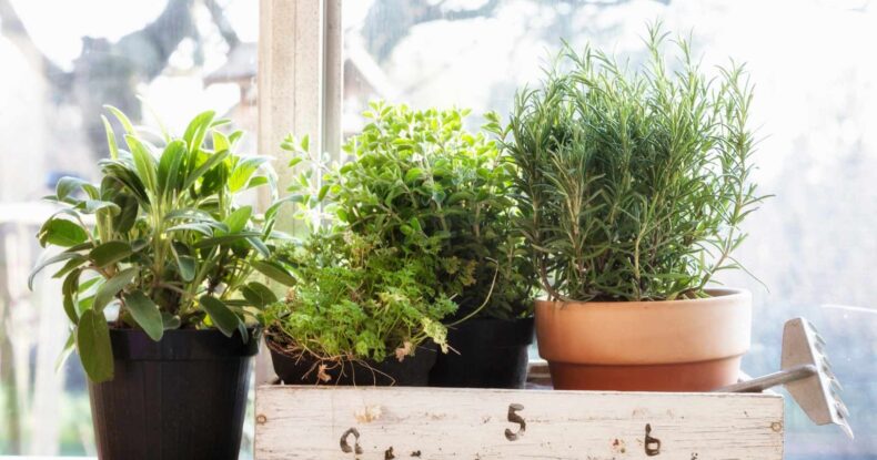 Tareas octubre