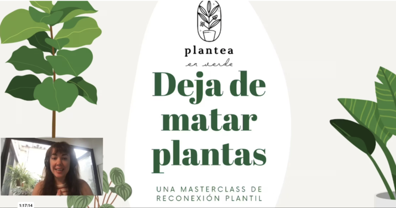 Deja de matar plantas