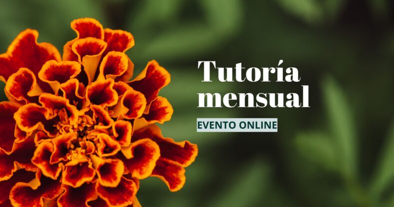 Tutoría agosto