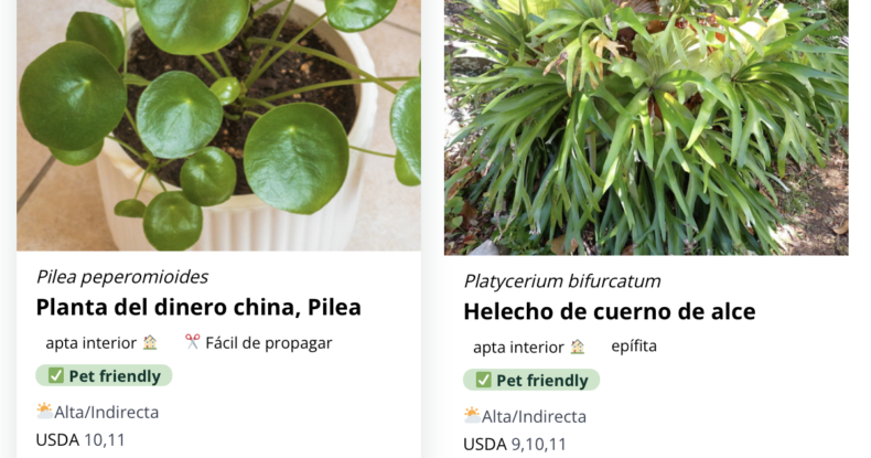 Nueva base de datos
